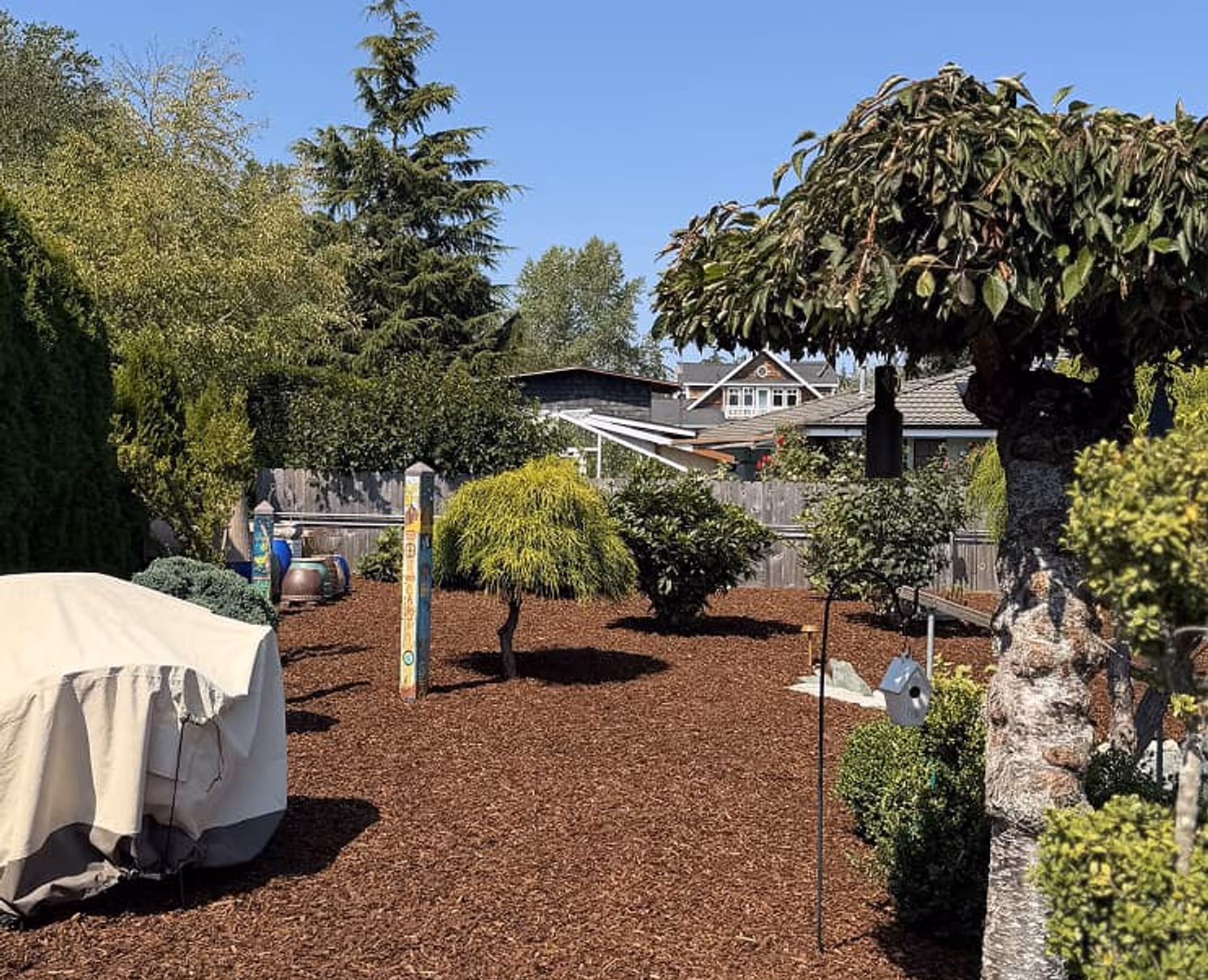 Maintained trees and shrubs in Anacortes, WA