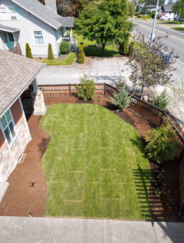 New lawn and fencing beside a home in Anacortes, WA