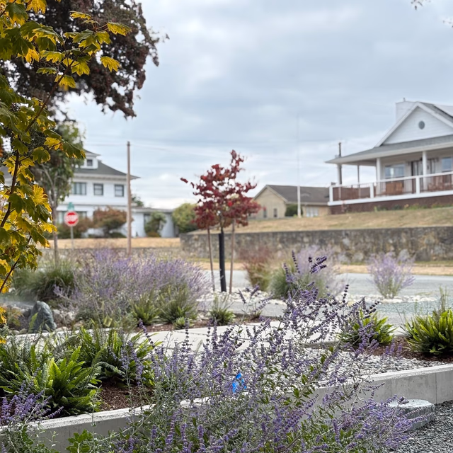 Landscape installation by C & C Landscape