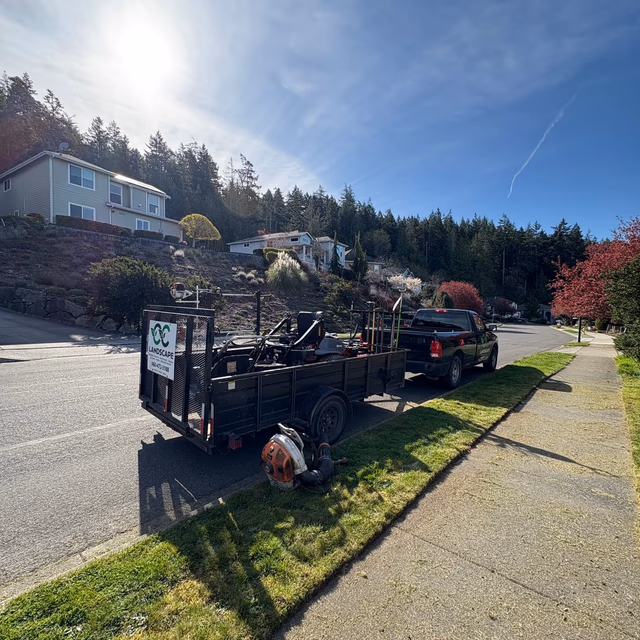 Garden maintenance by C & C Landscape