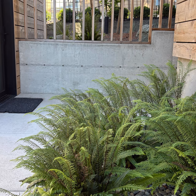 Landscape installation by C & C Landscape