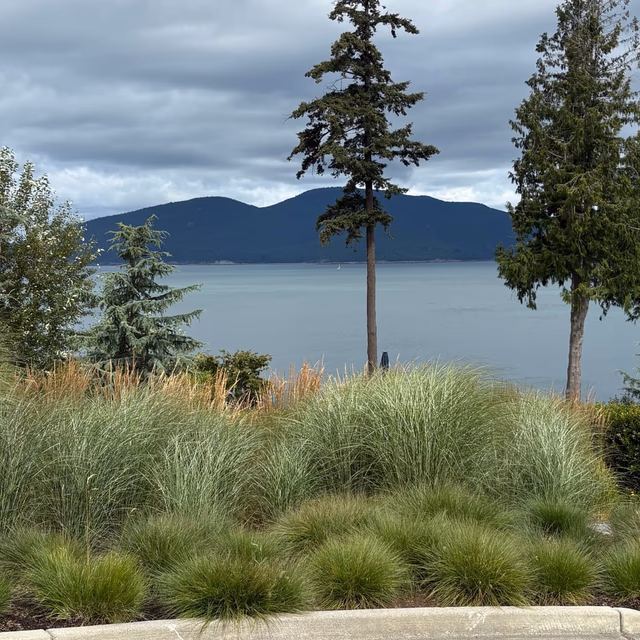 Landscape installation by C & C Landscape