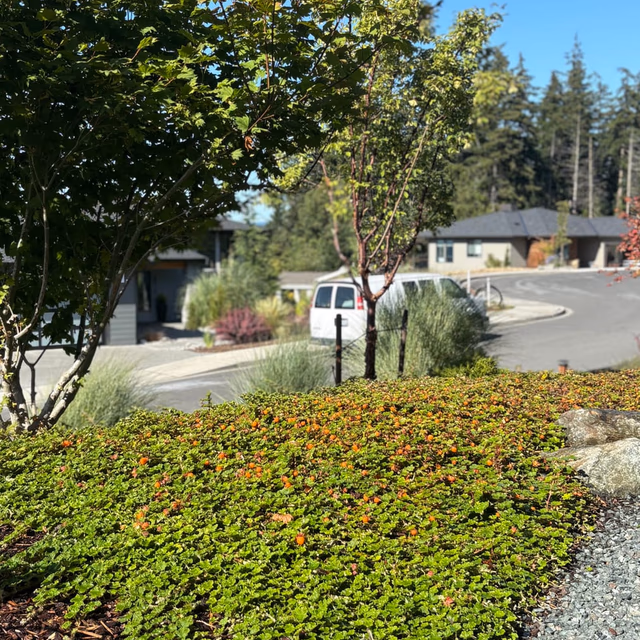 Landscape installation by C & C Landscape