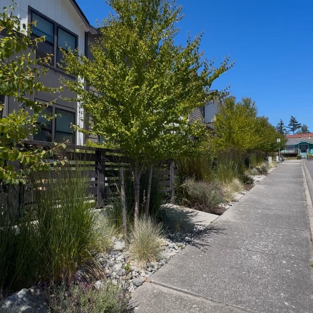 Garden maintenance by C & C Landscape