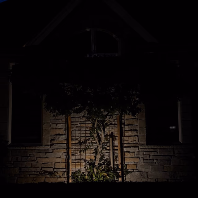 Outdoor lighting project by C & C Landscape
