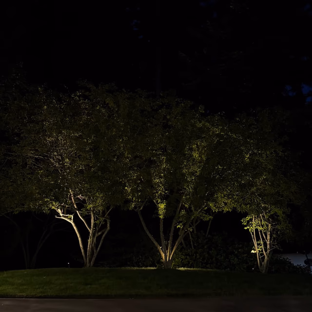 Outdoor lighting project by C & C Landscape