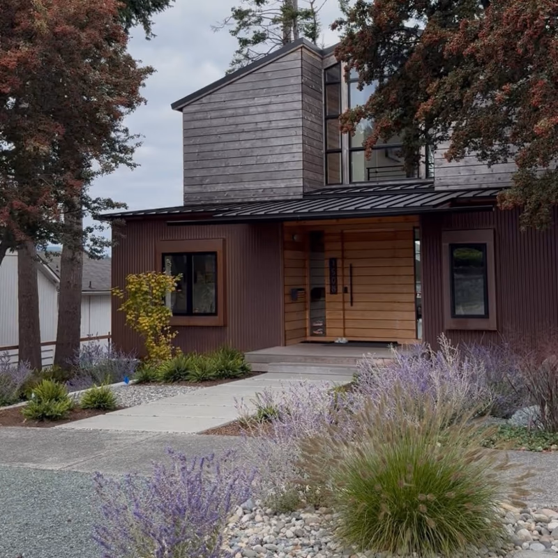 Established front yard landscape with lavender and ornamental grasses in Anacortes, WA
